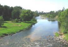 Un hombre se arrojó al río a nadar con su hijo y murió ahogado en Córdoba