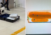 Un pasajero colombiano llegó a Ezeiza con 17 kilos de marihuana ocultos en una valija