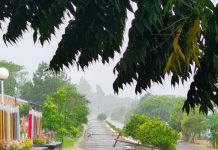 Voladura de techos y postes caídos: un fuerte temporal de lluvia y viento generó destrozos en Misiones