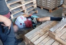 “Ya fue loco, ya fue”: el video del custodio que frustró un asalto en un depósito de Mataderos y mató a un ladrón