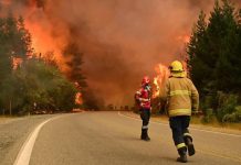 Ya hay más de 3.500 hectáreas afectadas por los incendios en Chubut y el pronóstico complica el control del fuego