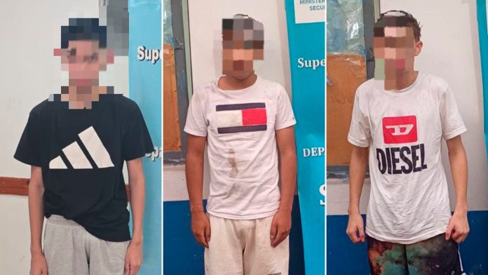 Cayeron otros tres miembros de la Banda del Millón: uno, de 17 años, está acusado del robo a la abuela influencer