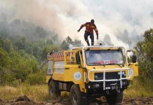 Chubut: declararon “contenido” el incendio en el Parque Nacional Los Alerces tras más de un mes de lucha contra el fuego