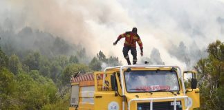 Chubut: declararon “contenido” el incendio en el Parque Nacional Los Alerces tras más de un mes de lucha contra el fuego
