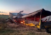 Entre Ríos: un brutal incendio en el galpón de un campo dejó 500 cerdos calcinados y provocó pérdidas millonarias