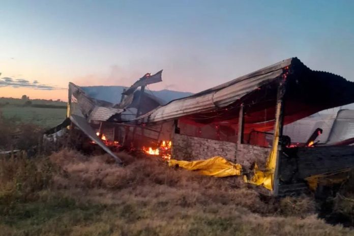 Entre Ríos: un brutal incendio en el galpón de un campo dejó 500 cerdos calcinados y provocó pérdidas millonarias
