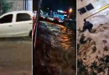 Fuerte temporal en Mendoza: decenas de evacuados, caída de árboles y problemas por posible falta de agua