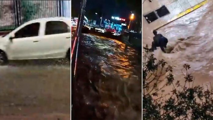 Fuerte temporal en Mendoza: decenas de evacuados, caída de árboles y problemas por posible falta de agua