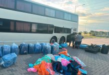 Incautaron más de una tonelada de hojas de coca en un “tour de compras” en Santiago del Estero