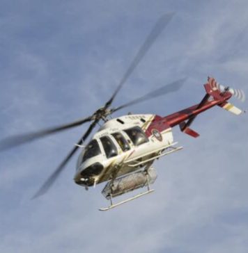 Incendios en Chubut: cómo sigue la lucha contra el fuego en el Parque Nacional Los Alerces