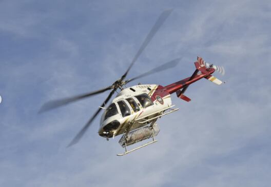 Incendios en Chubut: cómo sigue la lucha contra el fuego en el Parque Nacional Los Alerces