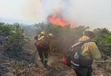 Incendios en Chubut: con ráfagas de 50 kilómetros por hora, el fuego se mantiene activo y se dificulta el combate
