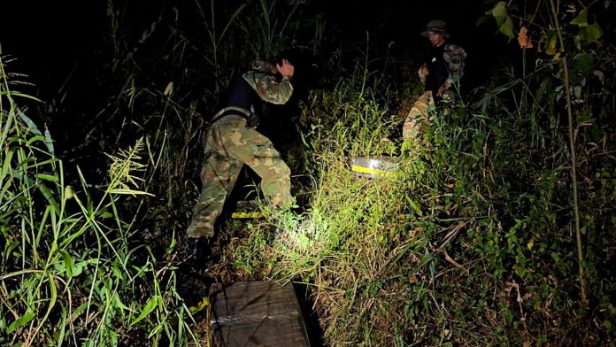 Noche en el monte misionero: intentaron pasar 900 kilos de marihuana en barcazas y fueron descubiertos