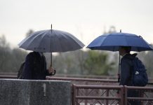 Rigen alertas amarillas por tormentas en Mendoza: todos los datos del Servicio Meteorológico Nacional