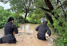 Temporal en Salta: decenas de familias debieron ser evacuadas por las inundaciones en cinco localidades