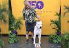 “Toky”, el Dogo Argentino que se convirtió en leyenda: ganó el certamen internacional de perros más prestigioso del mundo