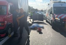 Trágico accidente en Panamericana: un motociclista de 24 años murió tras impactar contra un camión estacionado