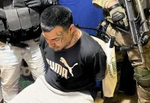 Cayó “Artur”, la mano derecha del capo narco “Morocho” Mansilla: tenía 18 pistolas en la casa