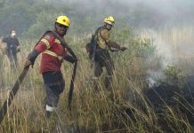 Continúa el monitoreo de los incendios en el Parque Nacional Los Alerces ante la falta de lluvias