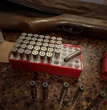 Denunciaron a un vecino de Recoleta que disparaba desde su balcón con un rifle de aire comprimido