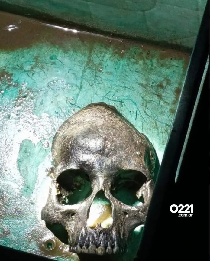 Descubrieron un cráneo en una playa de Berisso y los especialistas trabajan en identificar los restos