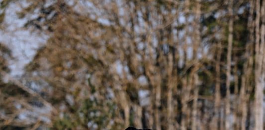 El álbum de fotos de los atuendos de los jugadores de la selección de Francia antes de los últimos amistosos previos al Mundial