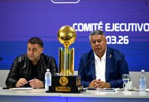 El cambio de reglamentación para clasificar a la Copa Libertadores y la Sudamericana: el comunicado de la Liga Profesional