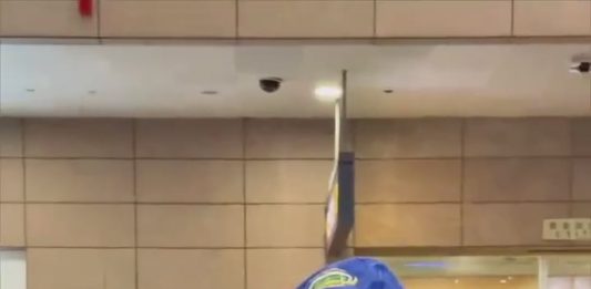 Furor por Franco Colapinto en China para la carrera de Fórmula 1: de la gorra de Boca a los regalos de los fanáticos