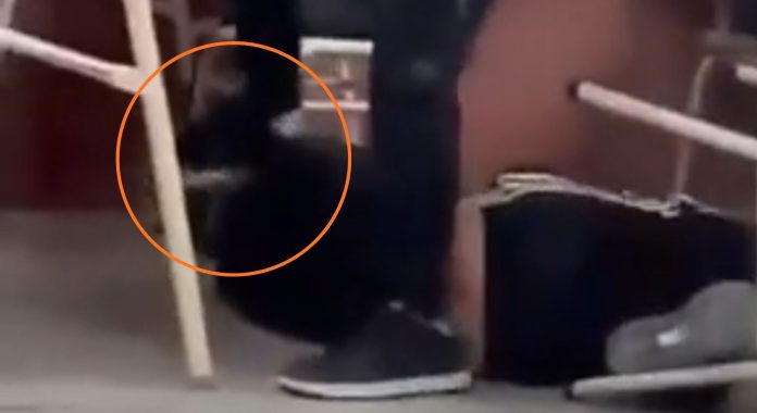 Golpeó a un compañero de 14 para sentarse en su lugar y lo mandó al hospital: la víctima sufrió graves fracturas