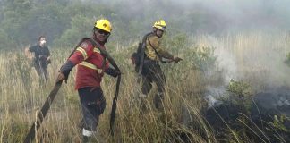 Incendios en Mar del Plata: hay más de 200 hectáreas consumidas por las llamas