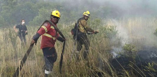 Incendios en Mar del Plata: hay más de 200 hectáreas consumidas por las llamas