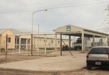 Intentaron ingresar drogas y chips ocultos en unos palets de madera a un penal de Río Negro