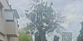 La mujer que apuñaló a su inquilino por masturbarse frente a sus hijos quedó en libertad por actuar “en defensa de los menores”