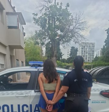 La mujer que apuñaló a su inquilino por masturbarse frente a sus hijos quedó en libertad por actuar “en defensa de los menores”