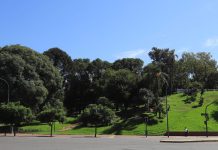 Los secretos del Parque Lezama: el rincón en el que nació Buenos Aires, el mercado de esclavos y la barranca que conquista el cine