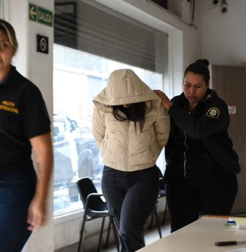 “Mintió reiteradamente”: por qué no fue presa la consejera escolar condenada por una falsa violación