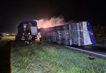 Tragedia en Córdoba: una mujer murió tras chocar contra un camión e incendiarse su auto