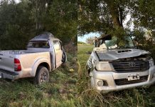 Tragedia en General Madariaga: un joven y su bebé murieron tras un choque brutal contra un árbol en la Ruta 74
