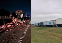 Tres camiones y un colectivo chocaron en la Ruta 9: hay un muerto y un herido