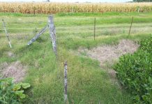 Un nene murió electrocutado tras tocar un cero perimetral mientras jugaba en Corrientes