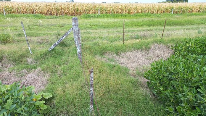 Un nene murió electrocutado tras tocar un cero perimetral mientras jugaba en Corrientes