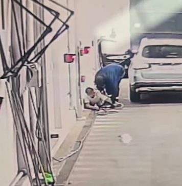 Violenta entradera en Rosario: le dispararon a un policía en el cuello y le robaron el patrullero para huir