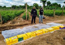 Alquilaban fincas en Salta para ocultar droga: tenían más de 170 kilos de cocaína enterrados en una plantación de tomates