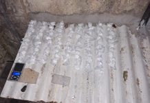 Cuatro mujeres trans descartaron cocaína y se refugiaron en un hotel de Constitución, pero la jueza rechazó el allanamiento