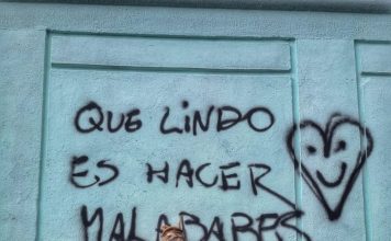 El drama de un futbolista argentino y su pareja tras sufrir un grave accidente en Ecuador: “Queremos volver a casa”