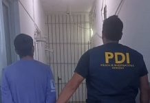 Femicidio en Mendoza: hallaron muerta a una mujer en su casa y detuvieron a su pareja