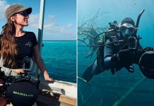 La fotógrafa que nadó entre los árboles del misterioso bosque sumergido a 30 metros de profundidad en un lago patagónico