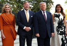 Máxima Zorreguieta y el rey Guillermo de Países Bajos fueron recibidos por Donald Trump en la Casa Blanca