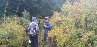 Murió un turista brasileño tras descompensarse durante una caminata en el Parque Nacional Nahuel Huapi