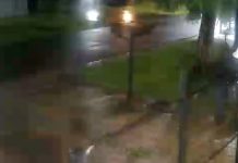 Saltó la reja de una casa de La Plata, robó las tarjetas que la víctima tenía en el auto y las usó en un local cercano